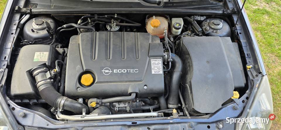 Opel Vectra 19 Nieżywięć