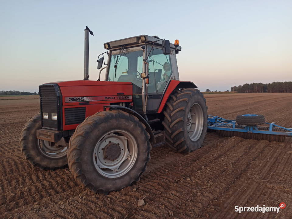 Massey Ferguson 3645 Ciechanów