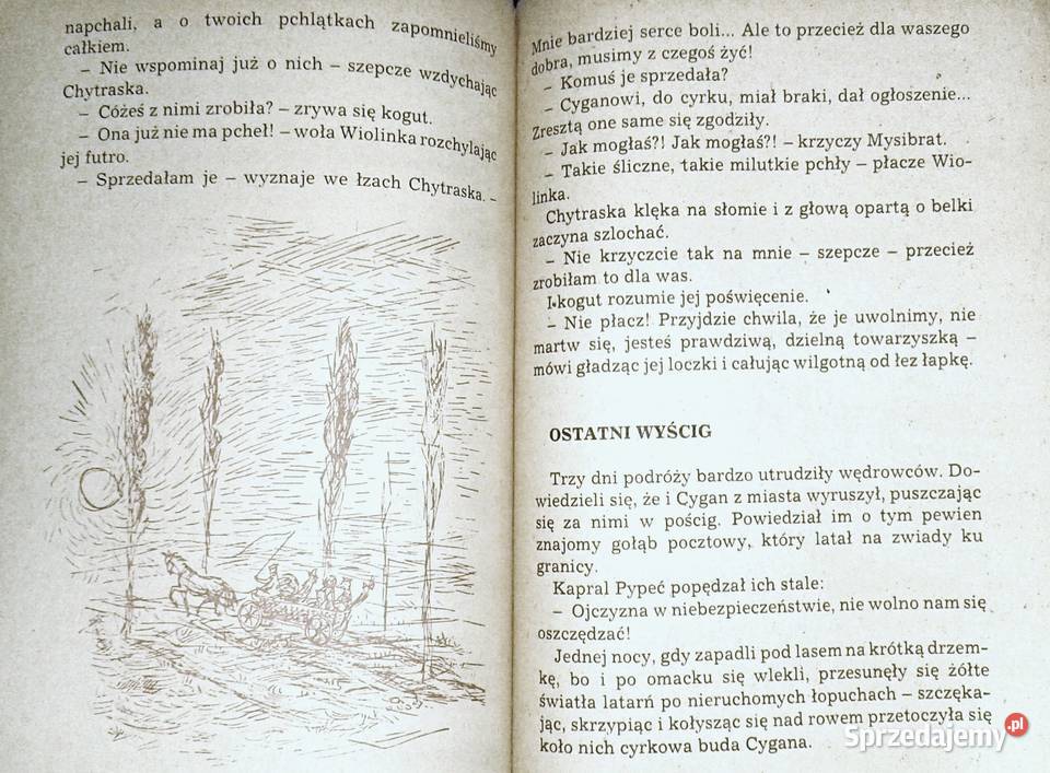 Porwanie w Tiutiurlistanie Wojciech Żukrowski Rok wydania 1980 Chełm