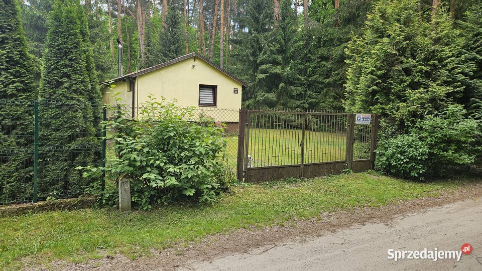 Działka z domkiem letniskowym 3 minuty rzeki Bug taras Sprzedaż