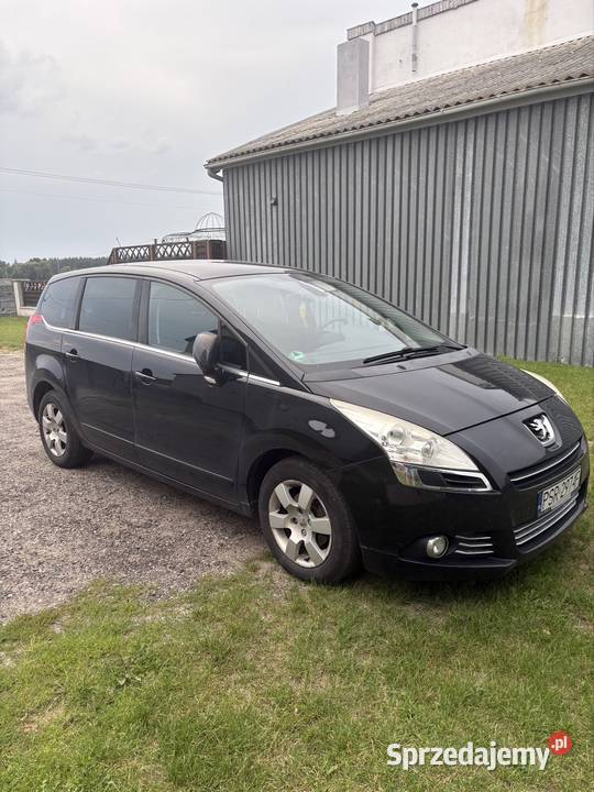 Peugeot 5008 16 2010 Brodowo