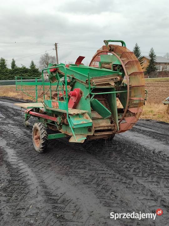 Kombajn ziemniaczany do ziemniaków hassia nieuszkodzony lubelskie Paprotnia