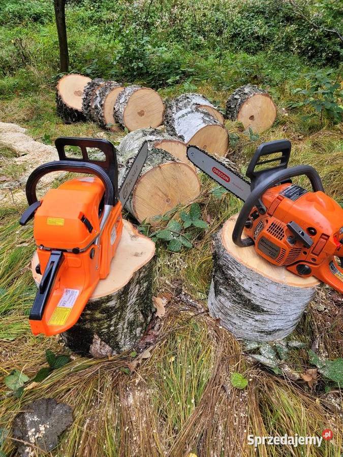 Cięcie drewna na opał wycinanie samosiejek Karczowanie i usuwanie drzew Zator