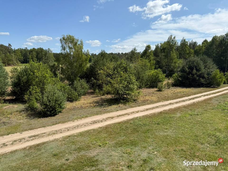 Dom lesie jeziorem Białe taras sprzedam