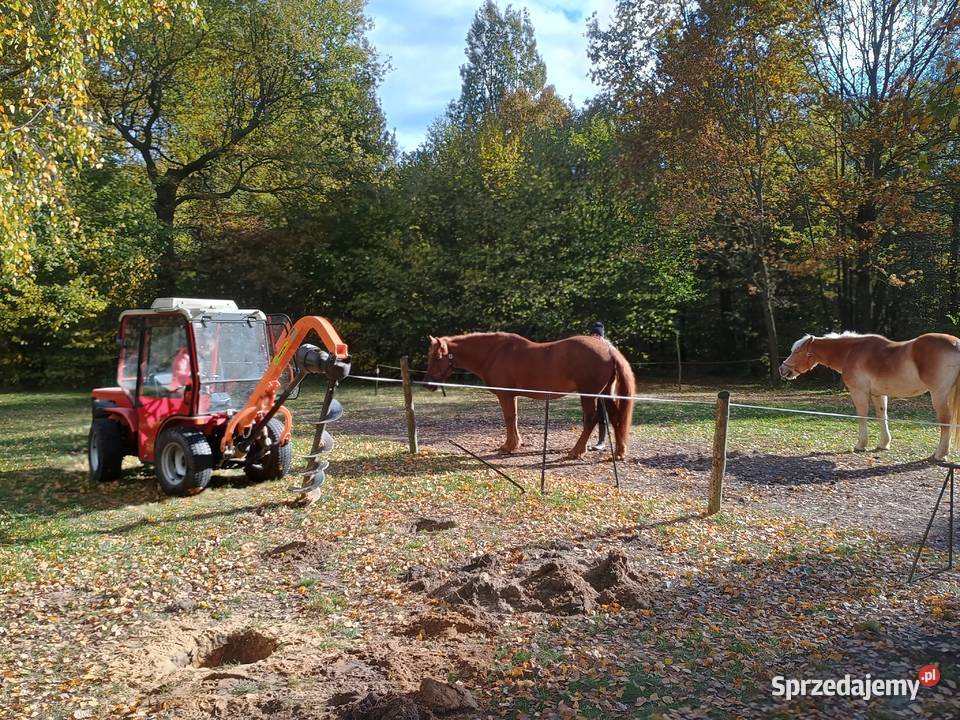 Antonio Carraro Woźniki