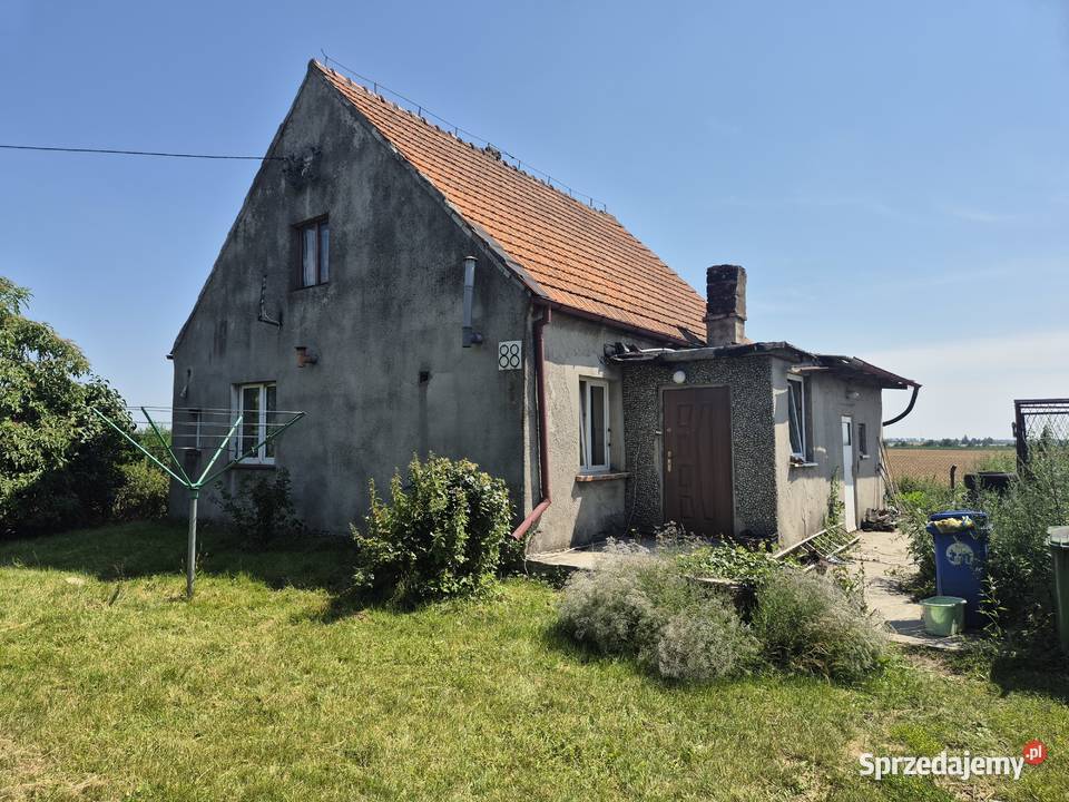 Dom 80m2 działka 900m2 Domy kujawsko-pomorskie Trzebcz Szlachecki