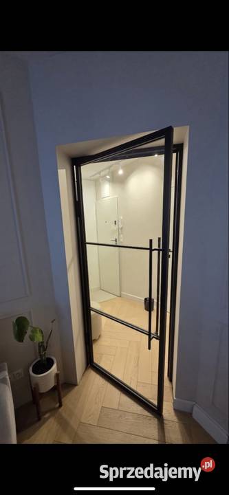 Drzwi loftowe drzwi loft szklane stal szprosy Drzwi wewnętrzne Morawica
