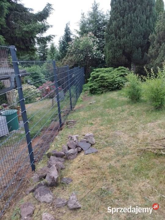 Najtaniej najszybciej najbezpieczniej Gubin