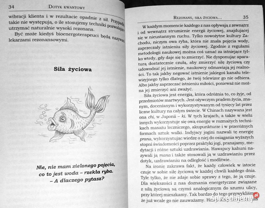 Dotyk kwantowy Uzdrawiająca moc dłoni Richard Chełm sprzedam