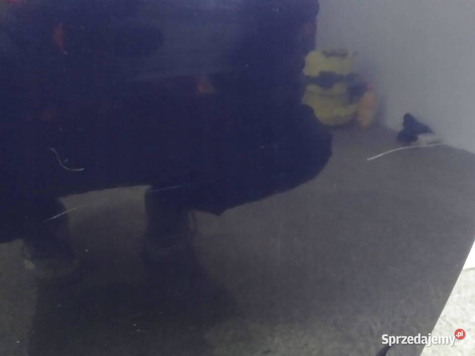 DRZWI PRAWE TYŁ KOMBI LIFT LB5N KOMPLETNE VW