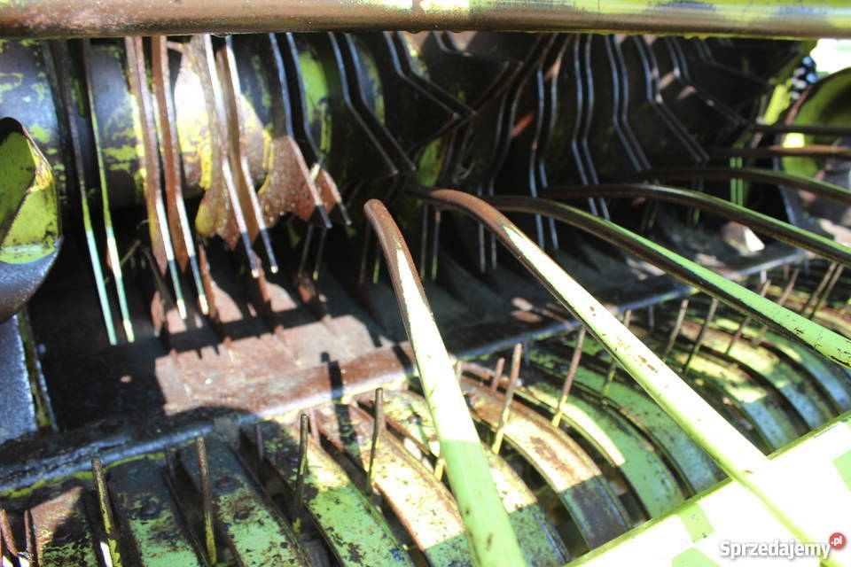 Claas Rollant 250 Rotocut kilka sztuk prasa 255 Sokoły sprzedam