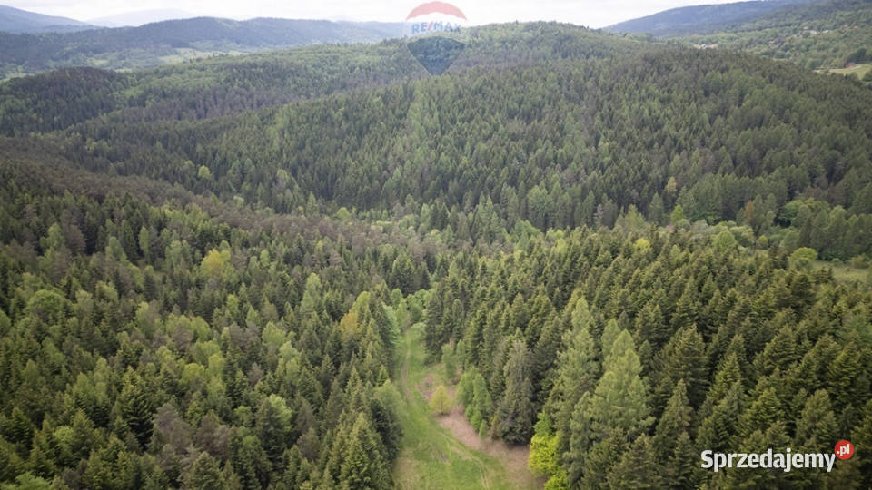 Działka rolna w Krzeszowie Krzeszów sprzedam