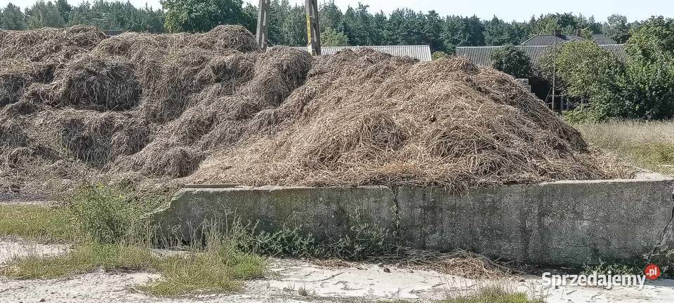 Obornik koński promocja Wysokie Mazowieckie