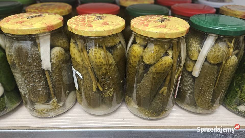3 x ogórki kuszone bomba witamin I probiotyków Pozostałe Kępno