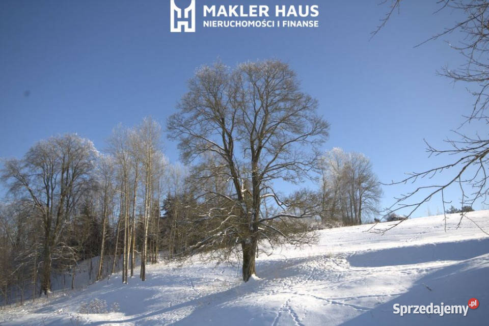 Malownicza działka w Jasionowie Żubryn