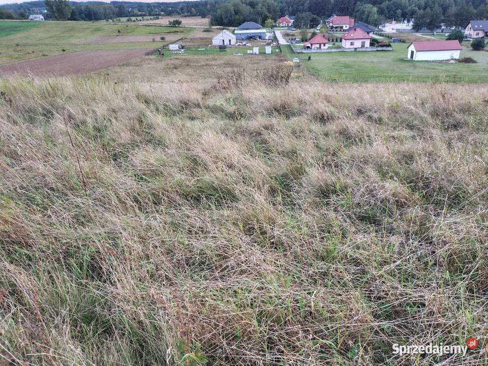 działki budowlane Morawica sprzedam