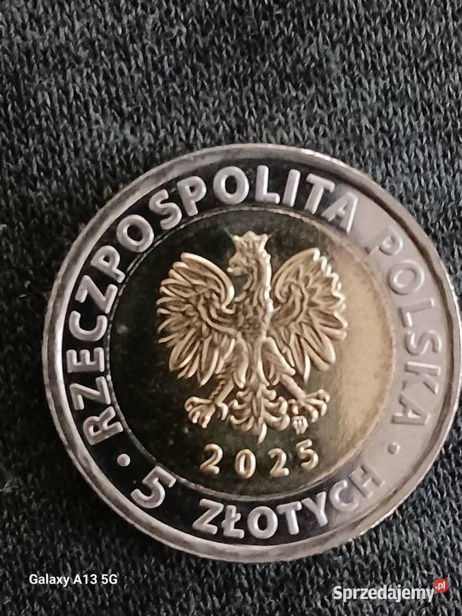 5 złotych Ratusz w Brzegu 2025 r Mennicze Numizmatyka Konin