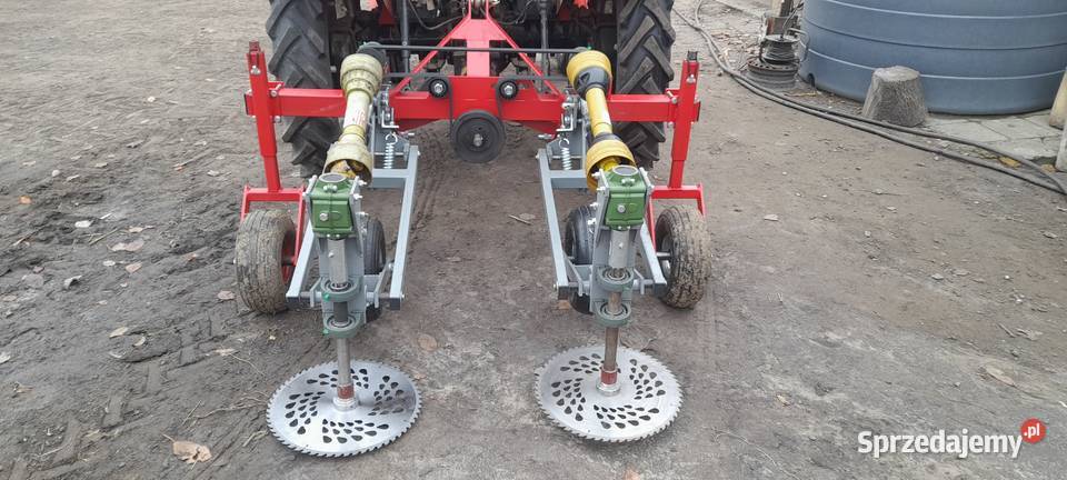 Ogławiarka ogławiacz piły ogławiające do marchwi