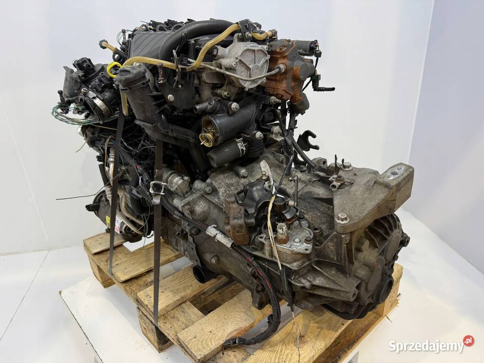 SILNIK G6DD Ford C C Focus MK2 20 TDCI 136 Chełm sprzedam