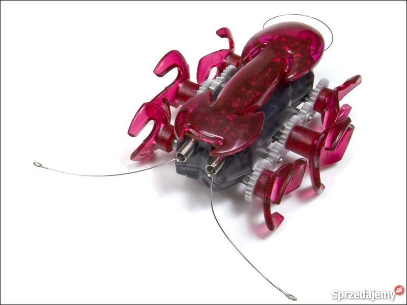 HEX BUG nano roboty ANT mrówka czerwona