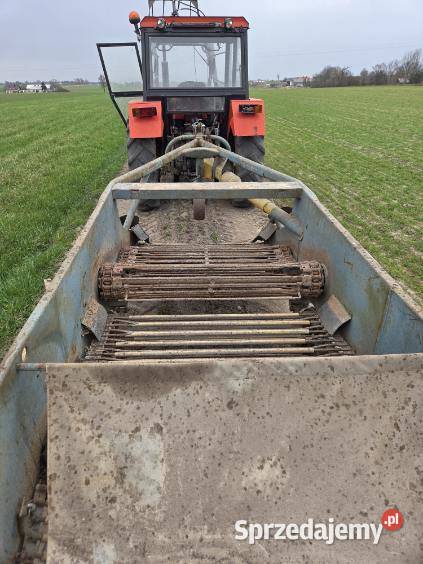 Kopaczka elewatorową dwurzędowa Wilczków