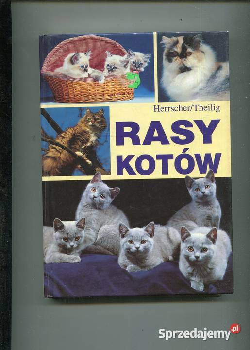 Rasy kotów Herrscher Thieilig Szczecin