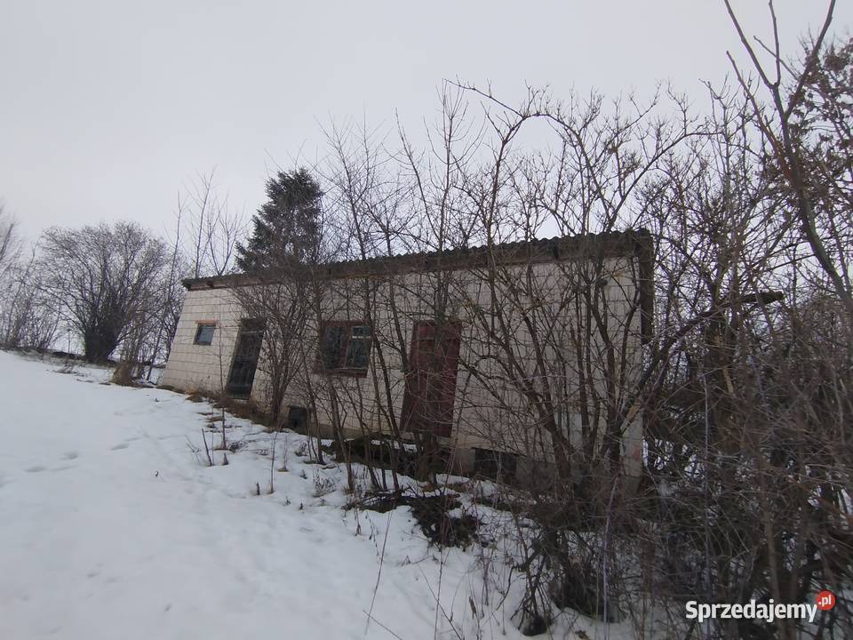 Sprzedam siedlisko z polem ornym klasy 9zł/m2 Telatyn