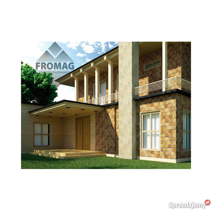 ELEWACJA Kamień szlachetny Aragonit Koral Jaspis Głogów