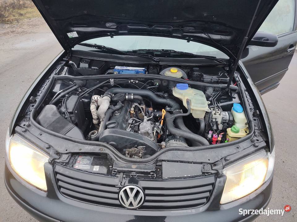 Volkswagen Passat B5 Sedan 19 TDI 110 kujawsko-pomorskie Kretki Małe