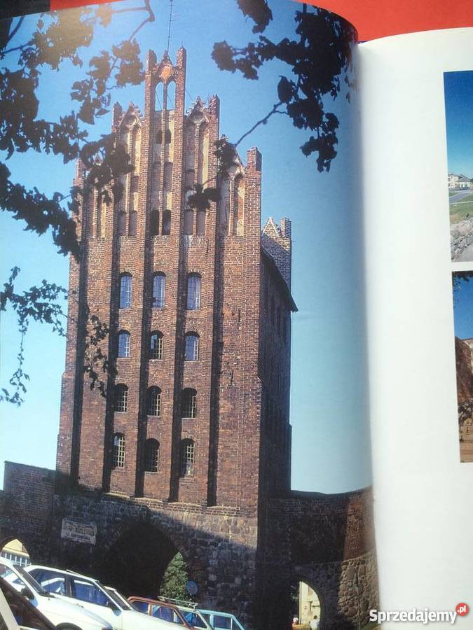 1100 Goleniów i sprzedam