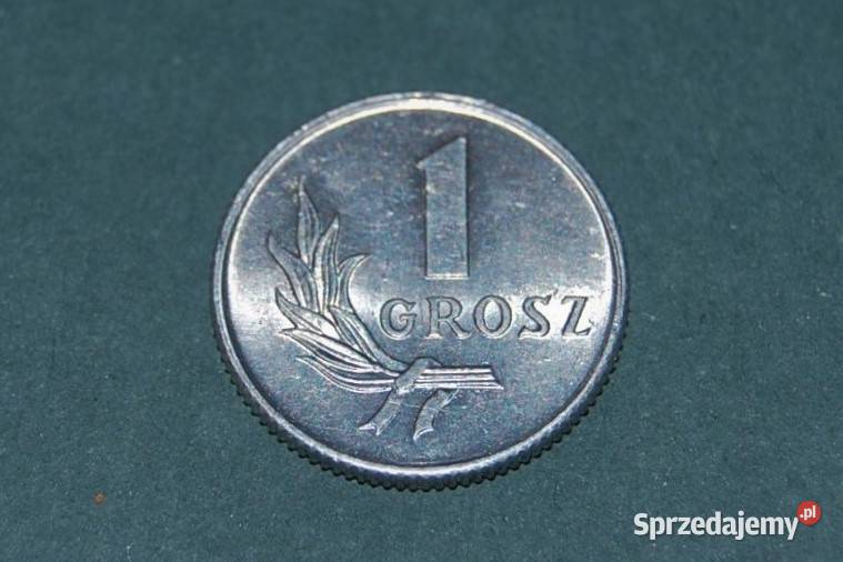 1 grosz 1949r Moneta Starocia Warszawa sprzedam