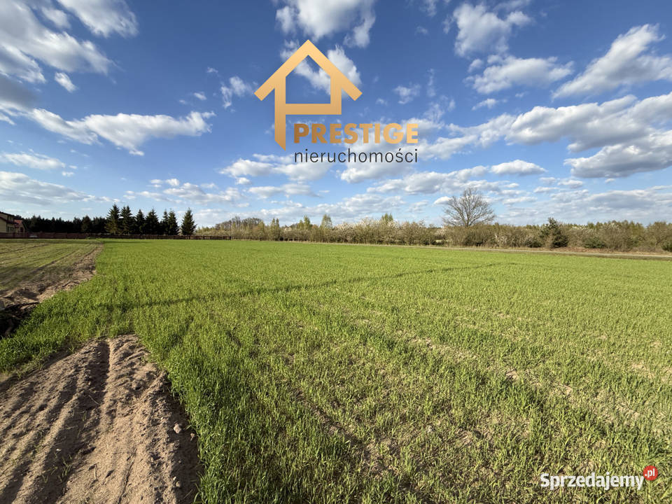 Działki budowlane lesieNowy Świat gmina 36m Sprzedaż Nowy Świat