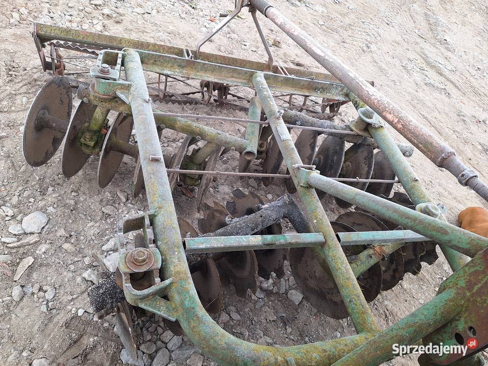 Talerzówka Włocławek