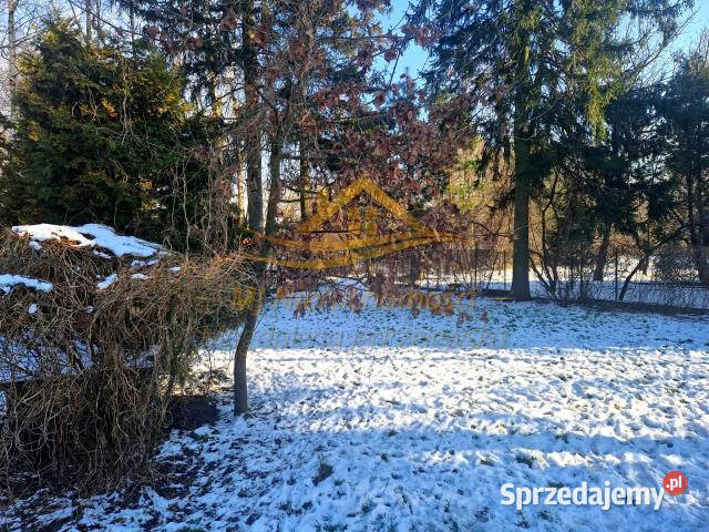 sprzedaży domu wolnostojącego BudyGrzybek 60m2 cegła Budy-Grzybek