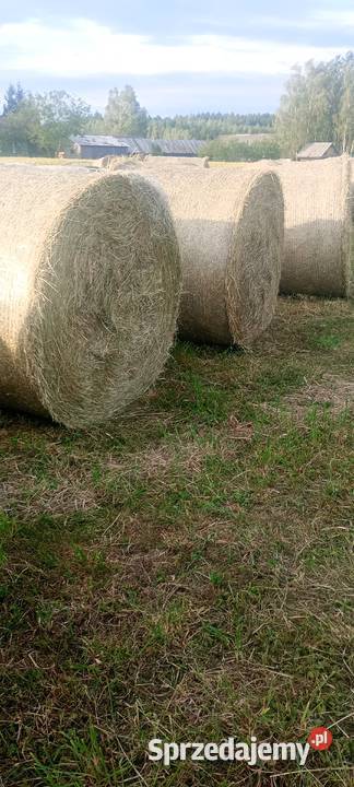 Siano słoma Sokoły