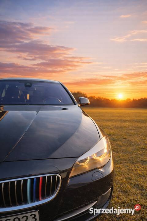 BMW 525xd xDrive 218 WEBASTO HUD Soft Close Full automatyczna Wrzosowo