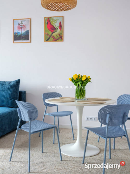 Mieszkanie 4836m2 Kraków małopolskie sprzedam