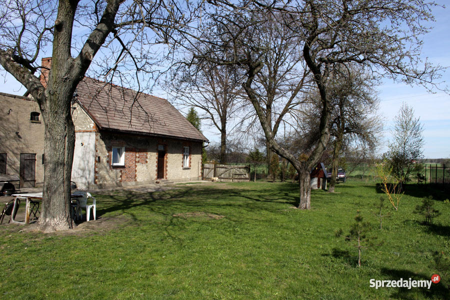 Dom gospodarstwo Wilkowiecko gm Opatów pow Kłobu piwnica Wilkowiecko sprzedam