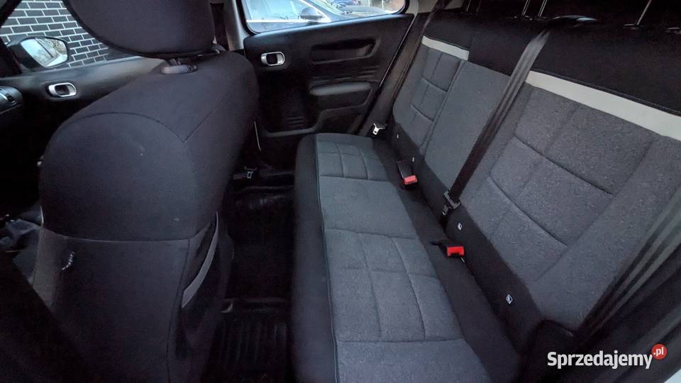 Citron C4 Cactus 2019r 32710 Pierwszy właściciel Pszczyna