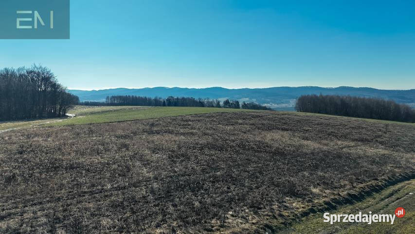 Działka Niewodna 5600m2