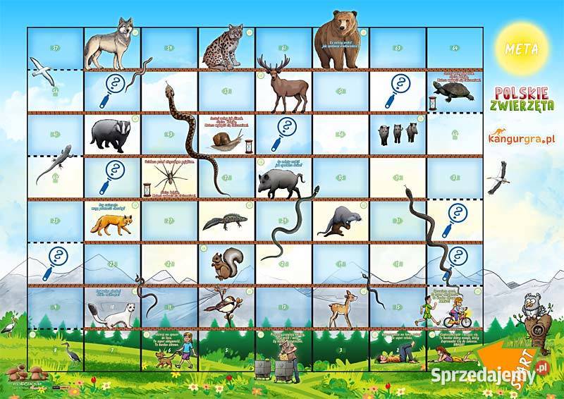 POLSKIE ZWIERZĘTA gra XXL DZIECI do skakania i Warszawa