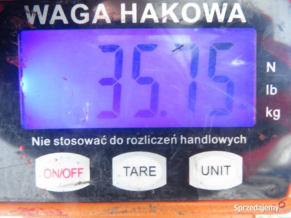 SANKI PRZÓD CITROEN JUMPER II 22 HDi 120 4HU osobowe Belki zawieszenia