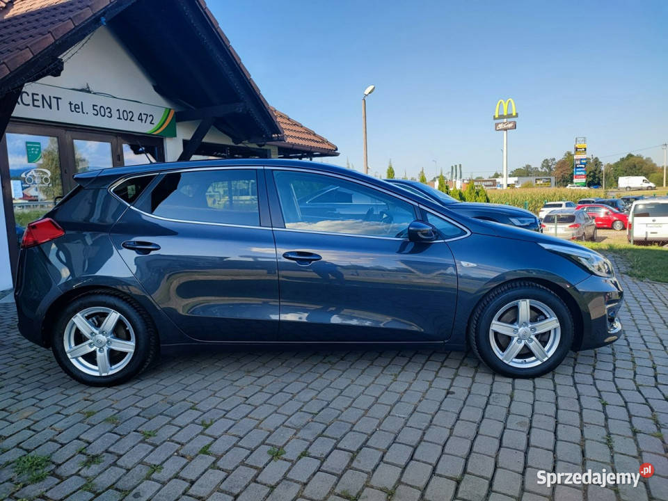Kia Ceed Bezwypadkowy kompletna dokumentacja śląskie Ustroń sprzedam