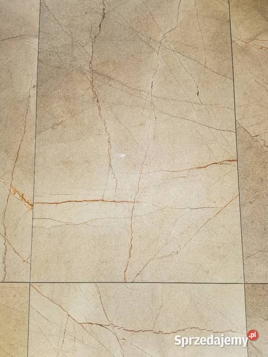 Gres szkliwiony Soria Oro 60120 mazowieckie Warszawa
