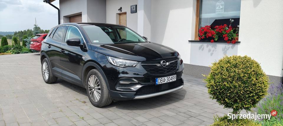 Opel Grandland X manualna Krzeszów