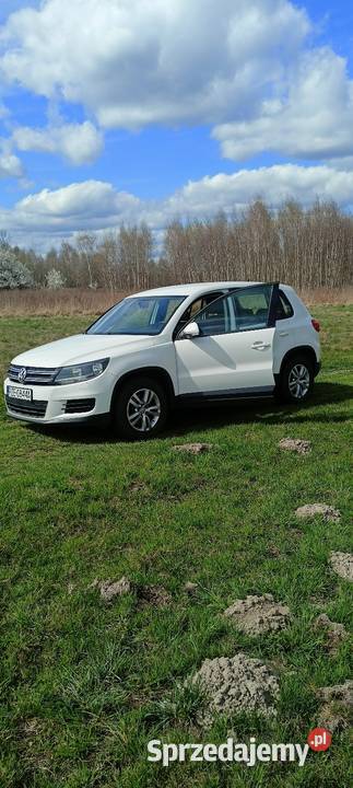 Tiguan nieuszkodzony