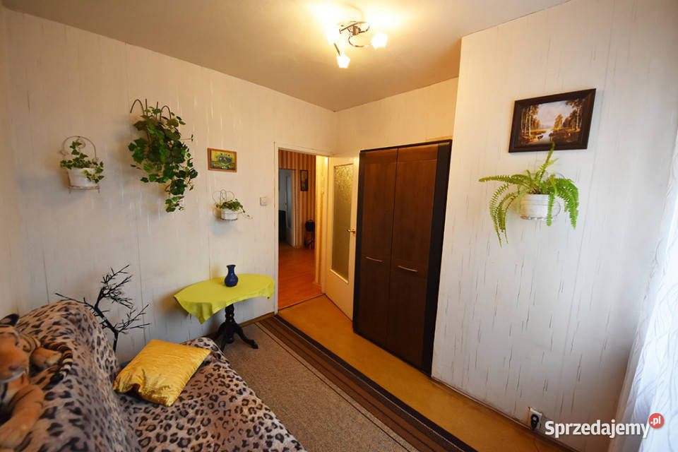 Sprzedaż rozkładowego mieszkania 3 pokOpoleZWM Opole sprzedam