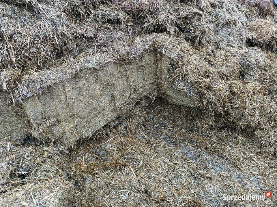 Wycinak szczękowy RedRock Aligator 140 solidny warmińsko-mazurskie