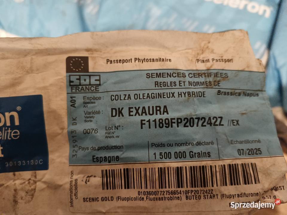 Rzepak nieuszkodzony Kamień Krajeński sprzedam