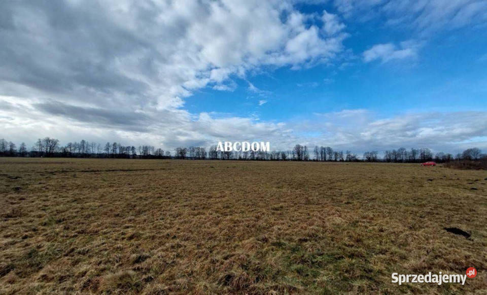 Cholerzyn działka budowlana 8 arów